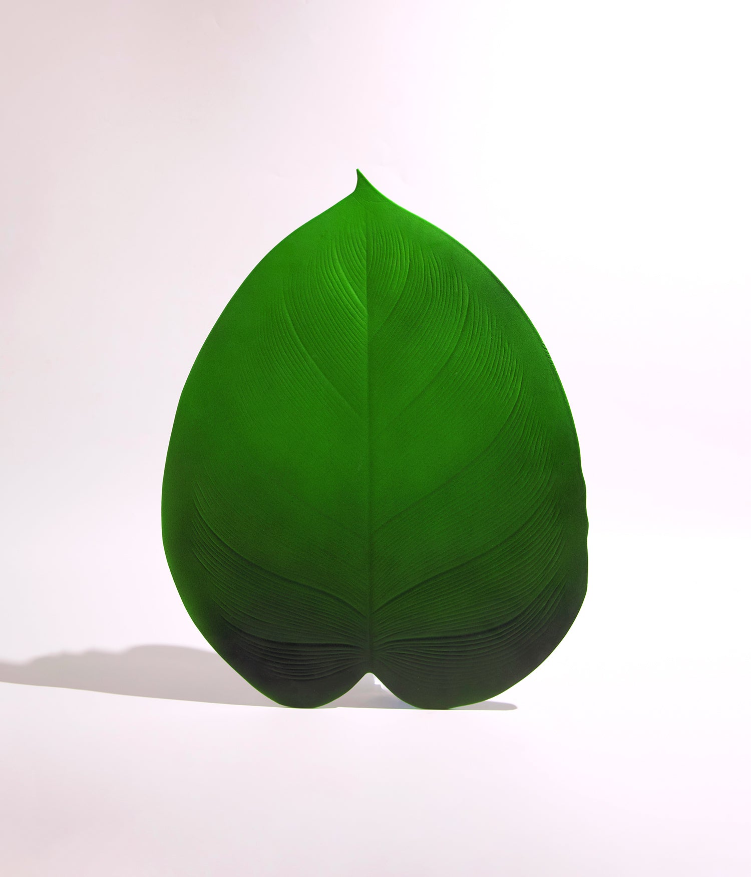 مفرش طاولة ديكور بتصميم ورقة شجر استوائية (48×37 سم) - مادة EVA